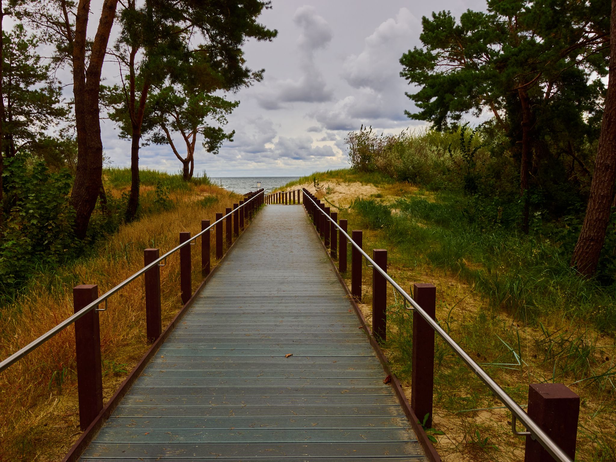 Landschaft 2024  1756 Usedom